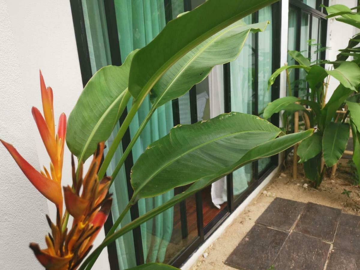 Mango T. Villa Chiangmai Resort Chiang Mai Exterior foto